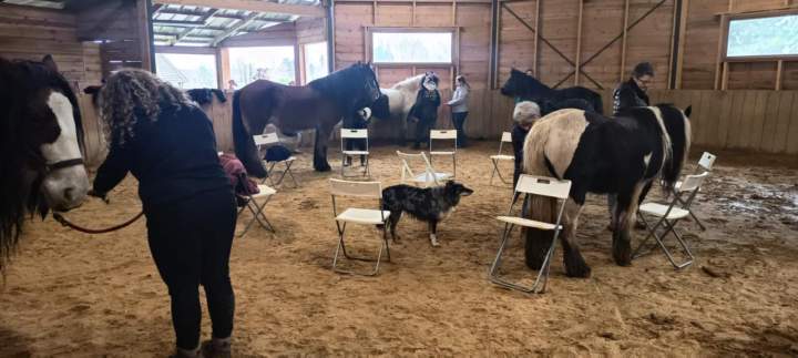 coaching avec cheval Eure