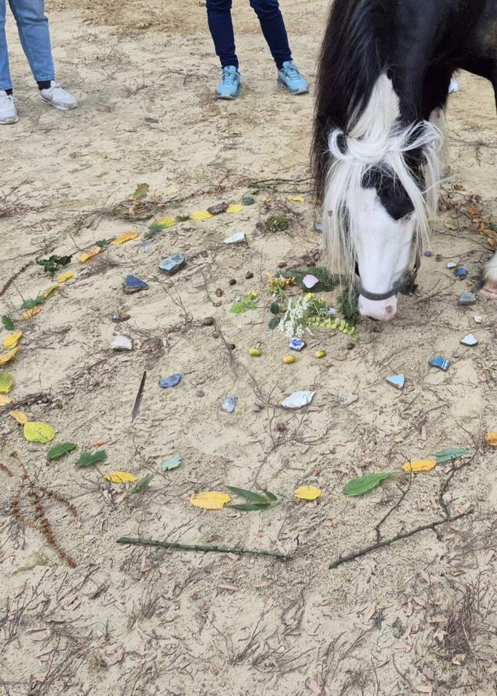 Partagez une expérience unique en groupe