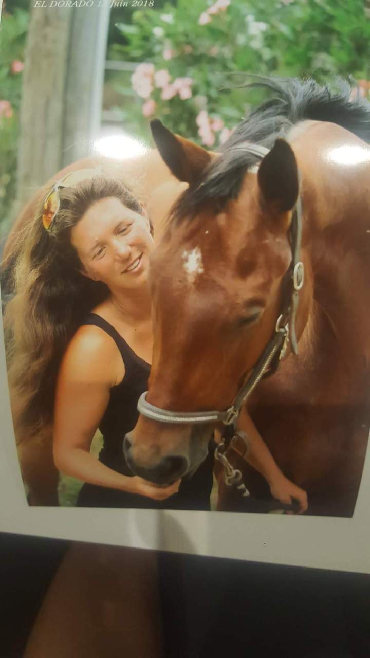 Pensions pour chevaux Eure