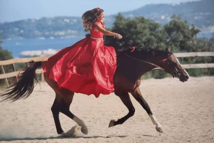 Médiation équine Eure