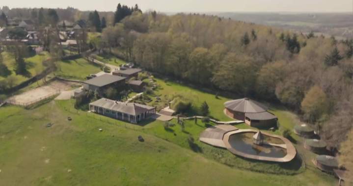 accueil chevaux Eure