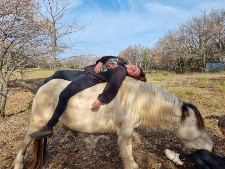 coaching avec cheval Eure