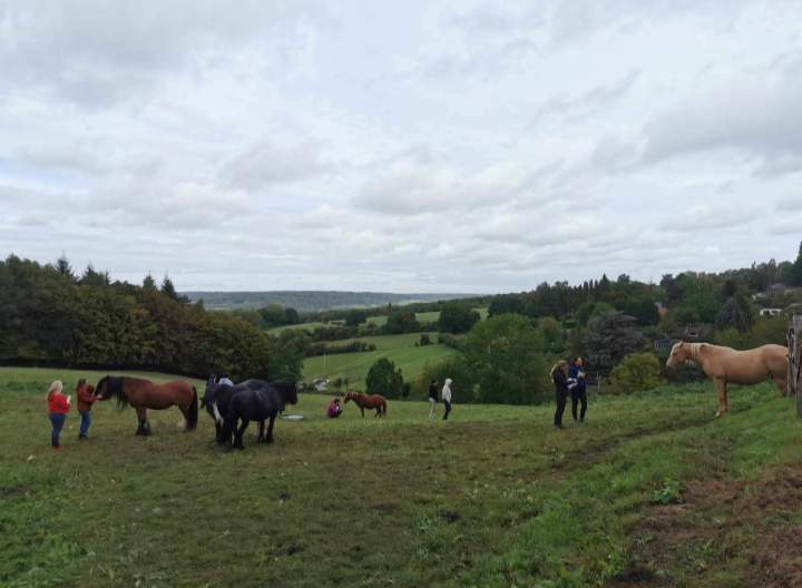 Coaching de vie Eure