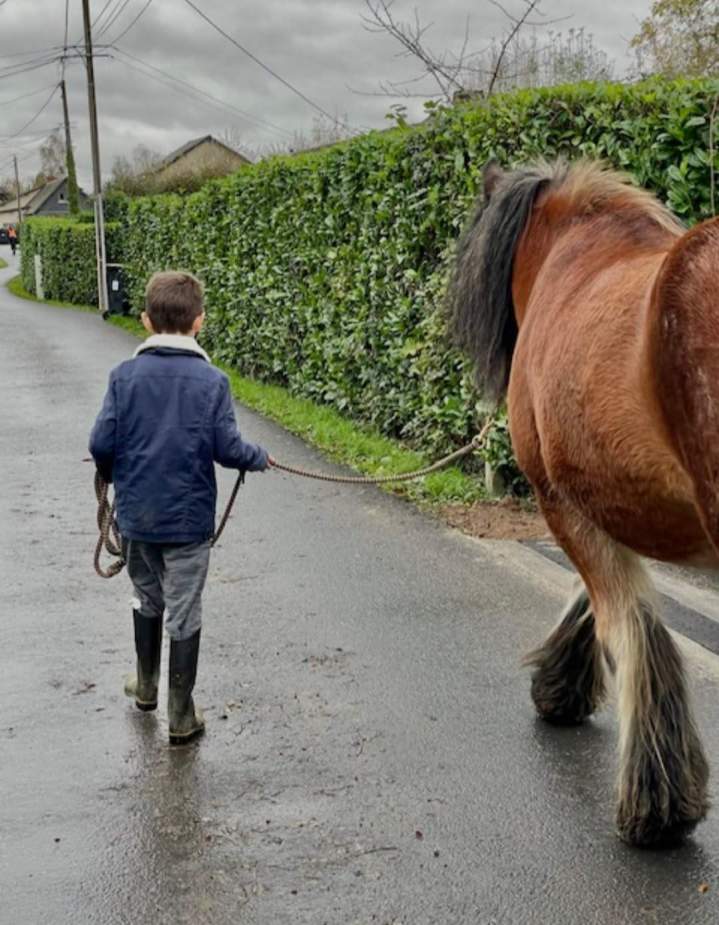 Thérapie brève avec le cheval Eure